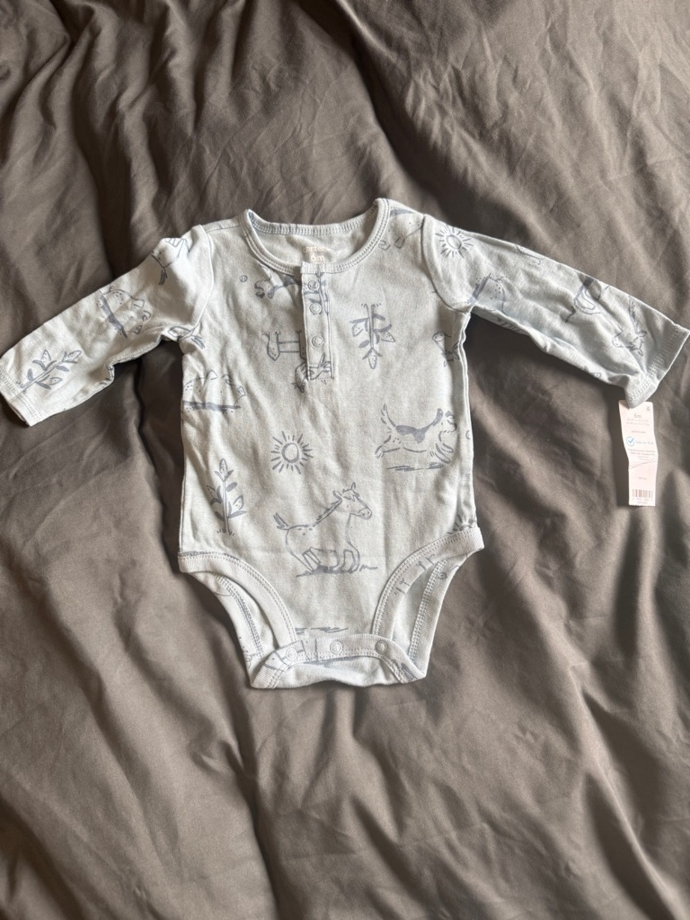 Carter's Light Blue Long-Sleeve Bodysuit with Animal Print